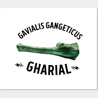 Gharial Posters and Art